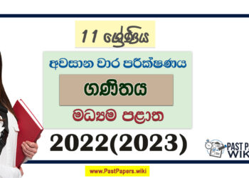 2022(2023) Grade 11 Maths 3rd Term Test Paper Central Province