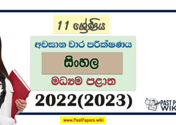 2022(2023) Grade 11 Sinhala 3rd Term Test Paper | Central Province