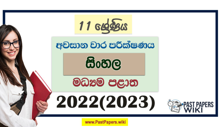 2022(2023) Grade 11 Sinhala 3rd Term Test Paper | Central Province