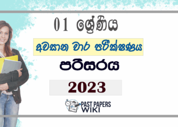 Grade 01 Environment Third Term Test Paper 2023