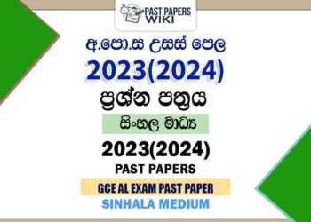 2023(2024) A/L Past Papers and Marking Schemes(English Medium)