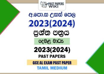2023(2024) A/L Past Papers and Marking Schemes(Tamil Medium)
