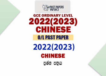 2022(2023) O/L Chinese Past Paper and Answers