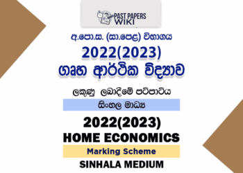 Home Economics Marking Scheme