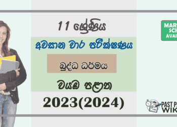 2023(2024) Grade 11 Buddhism 3rd Term Test Paper | North Western Province