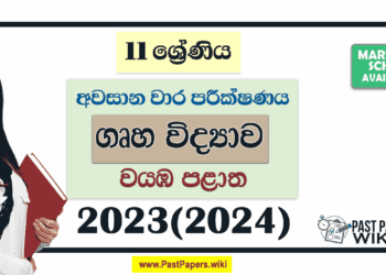 2023(2024) Grade 11 Home Science 3rd Term Test Paper | North Western Province