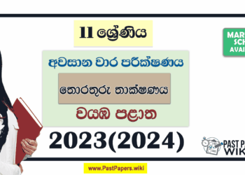 2023(2024) Grade 11 ICT 3rd Term Test Paper | North Western Province