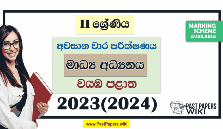 2023(2024) Grade 11 Media 3rd Term Test Paper | North Western Province