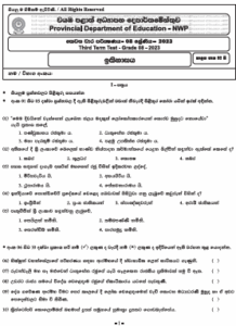 2023(2024) Grade 08 History 3rd Term Test Paper | North Western Province