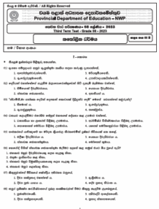 2023(2024) Grade 08 Catholic 3rd Term Test Paper | North Western Province