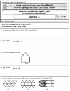 2023(2024) Grade 08 Maths 3rd Term Test Paper | North Western Province