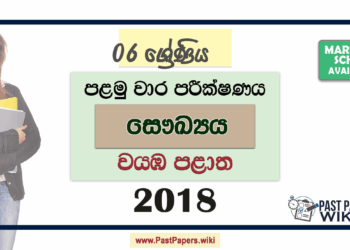 Grade 06 Health 1st Term Test Paper 2018 | North Western Province