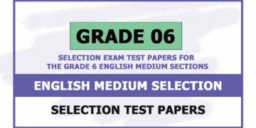 Selection Exam Test Papers for the Grade 6 ENGLISH Medium Section