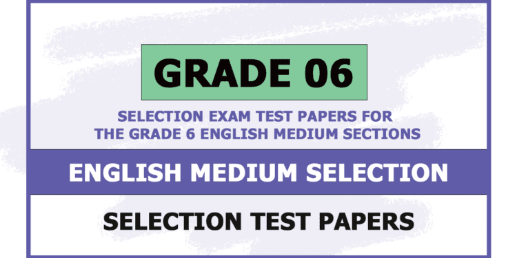 grade 6 english medium test papers pdf