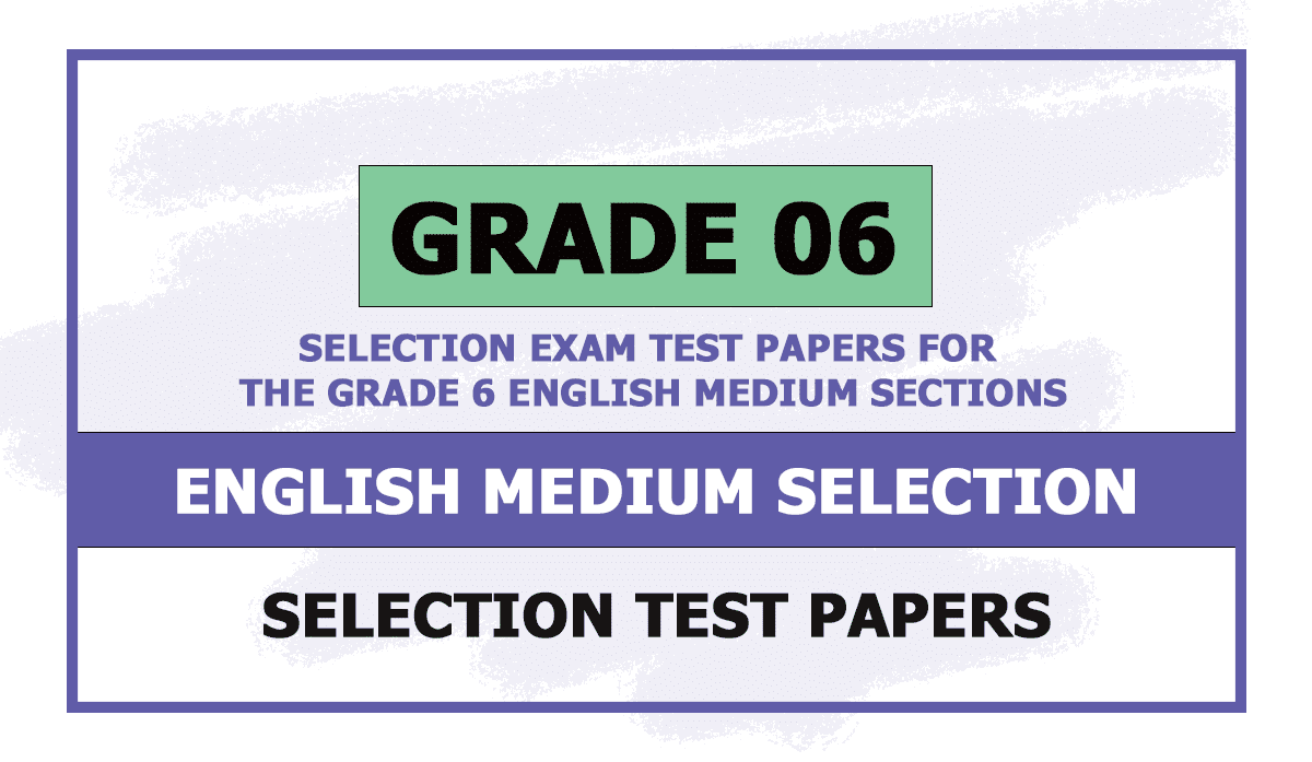 grade 6 english medium selection papers pdf