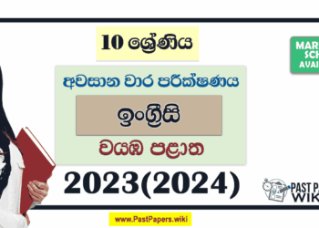 2023(2024) Grade 10 English 3rd Term Test Paper | North Western Province