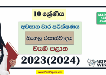 2023(2024) Grade 10 Sinhala Literature 3rd Term Test Paper | North Western Province
