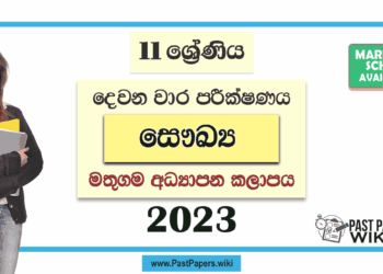 Grade 11 Health 2nd Term Test Paper with Answers 2023 | Mathugama Zone