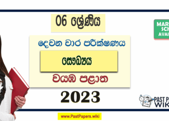 2023 Grade 06 Health 2nd Term Test Paper with Answers | North Western Province