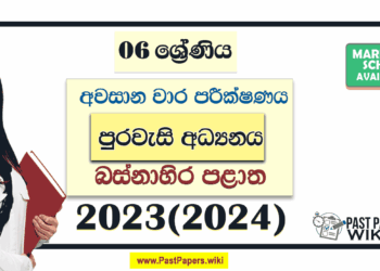 Western Province 2023(2024) Grade 06 Civic 3rd Term Test Paper