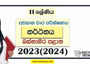 Western Province 2023(2024) Grade 11 Dancing 3rd Term Test Paper