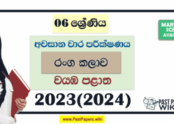 2023(2024) Grade 06 Drama 3rd Term Test Paper | North Western Province