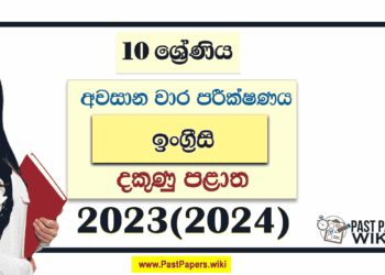 Southern Province 2023(2024) Grade 10 English 3rd Term Test Paper