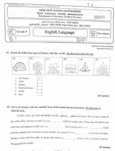 Southern Province 2023(2024) Grade 09 English 3rd Term Test Paper