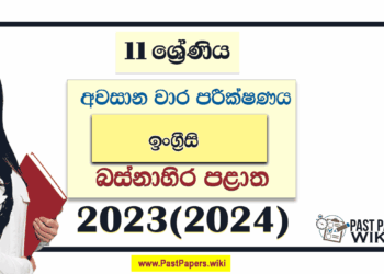 Western Province 2023(2024) Grade 11 English 3rd Term Test Paper