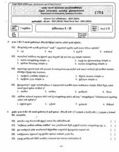 Southern Province 2023(2024) Grade 07 History 3rd Term Test Paper