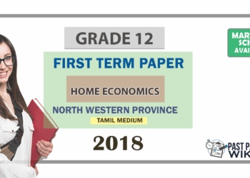 Grade 12 Home Economics 1st Term Test Paper 2018 | North Western Province (Tamil Medium )