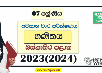 Western Province 2023(2024) Grade 07 Maths 3rd Term Test Paper