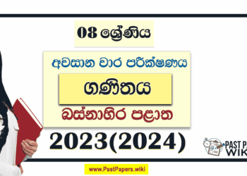 Western Province 2023(2024) Grade 08 Maths 3rd Term Test Paper