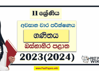 Western Province 2023(2024) Grade 11 Maths 3rd Term Test Paper