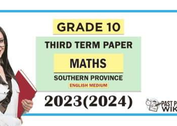Southern Province 2023(2024) Grade 10 Maths 3rd Term Test Paper | English Medium