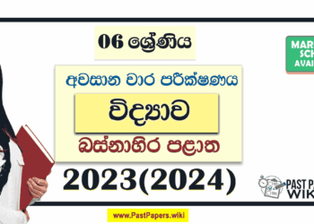 Western Province 2023(2024) Grade 06 Science 3rd Term Test Paper