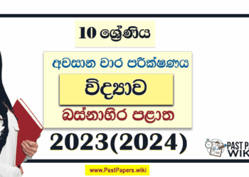 Western Province 2023(2024) Grade 10 Science 3rd Term Test Paper