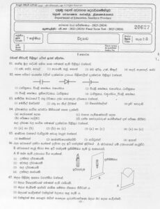 Southern Province 2023(2024) Grade 07 Science 3rd Term Test Paper