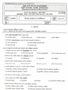 Southern Province 2023(2024) Grade 09 Sinhala 3rd Term Test Paper