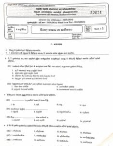 Southern Province 2023(2024) Grade 06 Sinhala 3rd Term Test Paper
