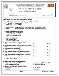 North Central Province 2023(2024) Grade 10 Drama 3rd Term Test Paper ...