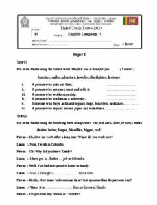 North Central Province 2023(2024) Grade 10 English 3rd Term Test Paper ...