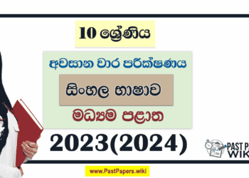 Central Province 2023(2024) Grade 10 Sinhala 3rd Term Test Paper