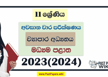 Central Province 2023(2024) Grade 11 Business Studies 3rd Term Test Paper