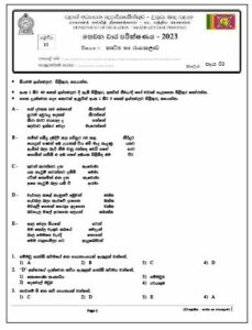 North Central Province 2023(2024) Grade 11 Drama 3rd Term Test Paper ...