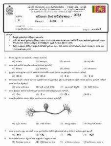 North Central Province 2023(2024) Grade 11 Science 3rd Term Test Paper ...