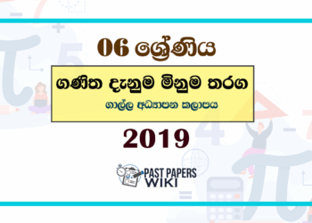 2019 Grade 06 Ganitha Danuma Minuma Paper Galle Division