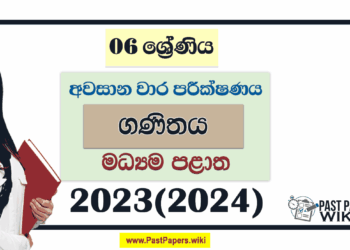 Central Province 2023(2024) Grade 06 Maths 3rd Term Test Paper