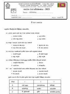 North Central Province 2023(2024) Grade 09 Dancing 3rd Term Test Paper ...