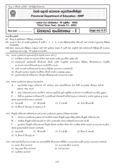 2023 Grade 13 Business Statistics 3rd Term Test Paper | North Western Province
